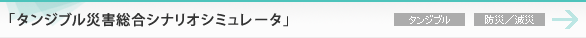 �^���W�u���ЊQ�����V�i���I�V�~�����[�^