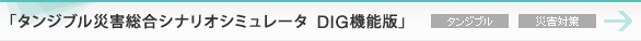 �u�^���W�u���ЊQ�����V�i���I�V�~�����[�^�@DIG�@�\�Łv