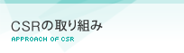 CSR�̎��g��