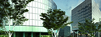 CASE STUDY MAP