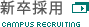 �V���̗p���