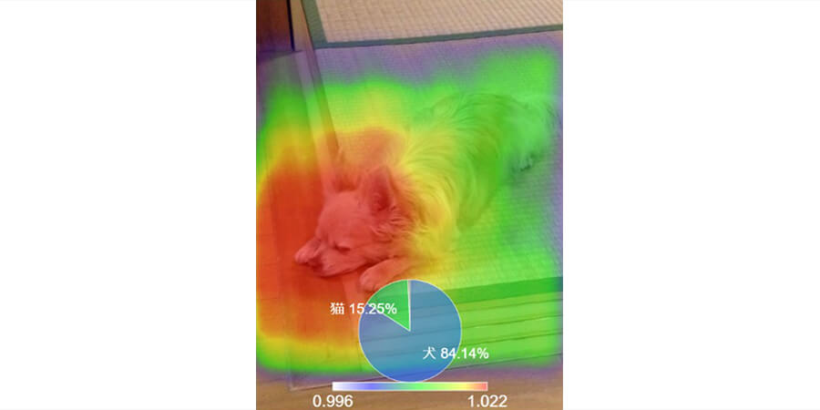 【Deeptector機能紹介】AIが注目した箇所を示す「XAI機能」のサムネイル画像