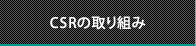 CSR�̎��g��
