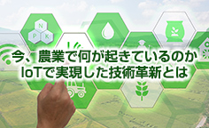 今、農業で何が起きているのか IoTで実現した技術革新とはIoTやクラウドの活用で農作業の効率化を実現