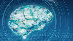 画像認識AI「Deeptector®」による産業DX推進と市場拡大に向けた取り組み NTT技術ジャーナル3月号掲載記事より転載