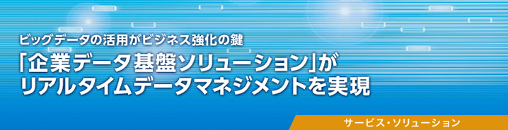 「企業データ基盤ソリューション」がリアルタイムデータマネジメントを実現