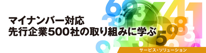 マイナンバー対応 先行企業500社の取り組みに学ぶ