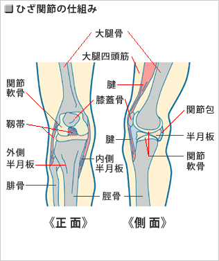 ひざの痛み コムジン診療所 Comzine By Nttコムウェア