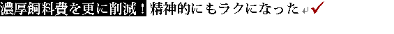 ZXɍ팸I _IɂNɂȂ