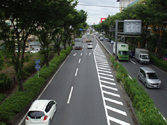 道路表示改善前