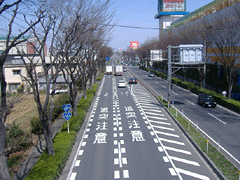 道路表示改善後