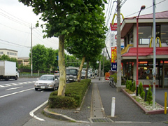 植え込み改善後