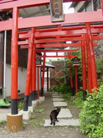 善福寺