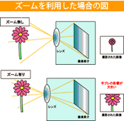 ズーム無し:ズーム有り