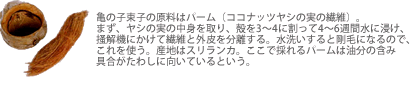 原料