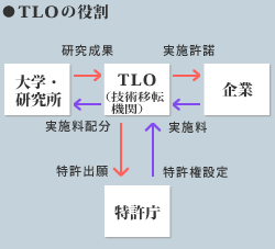 TLOの役割