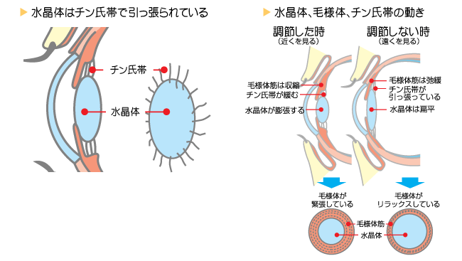 老眼 コムジン診療所 Comzine By Nttコムウェア