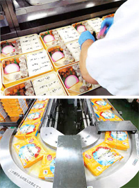 「シウマイ弁当」製造工程2点