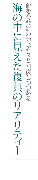 命を育む海の力。着々と回復しつつある――海の中に見えた復興のリアリティー