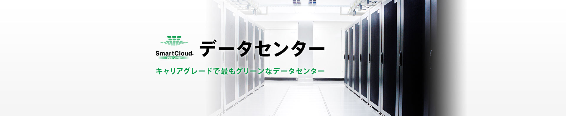 SmartCloud データセンターのイメージ