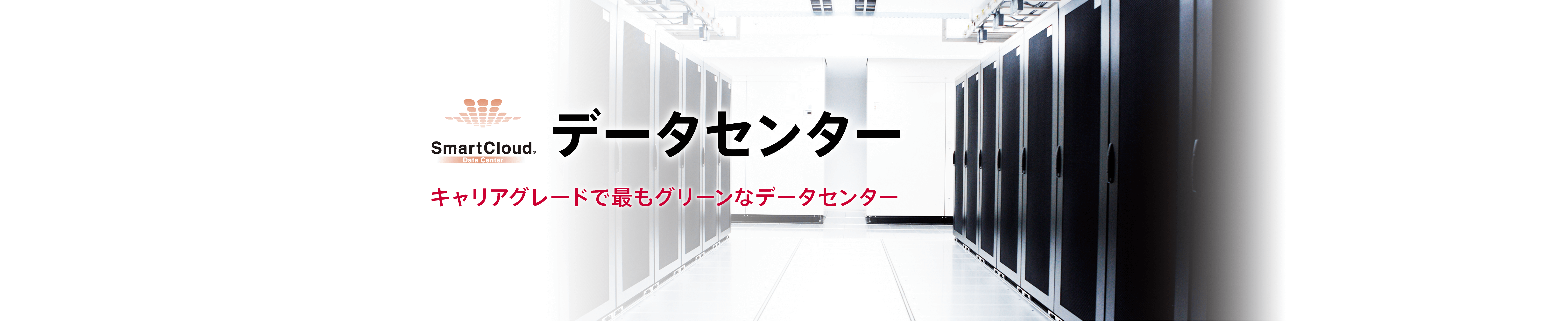 SmartCloud データセンターのイメージ