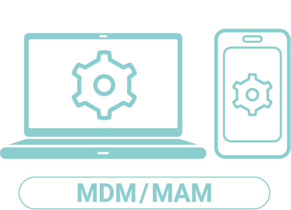 MDM/MAM