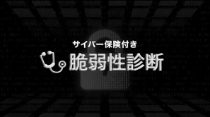 脆弱性診断サービス紹介動画
