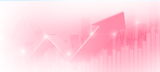 数字で見る、NTTドコモソリューションズ