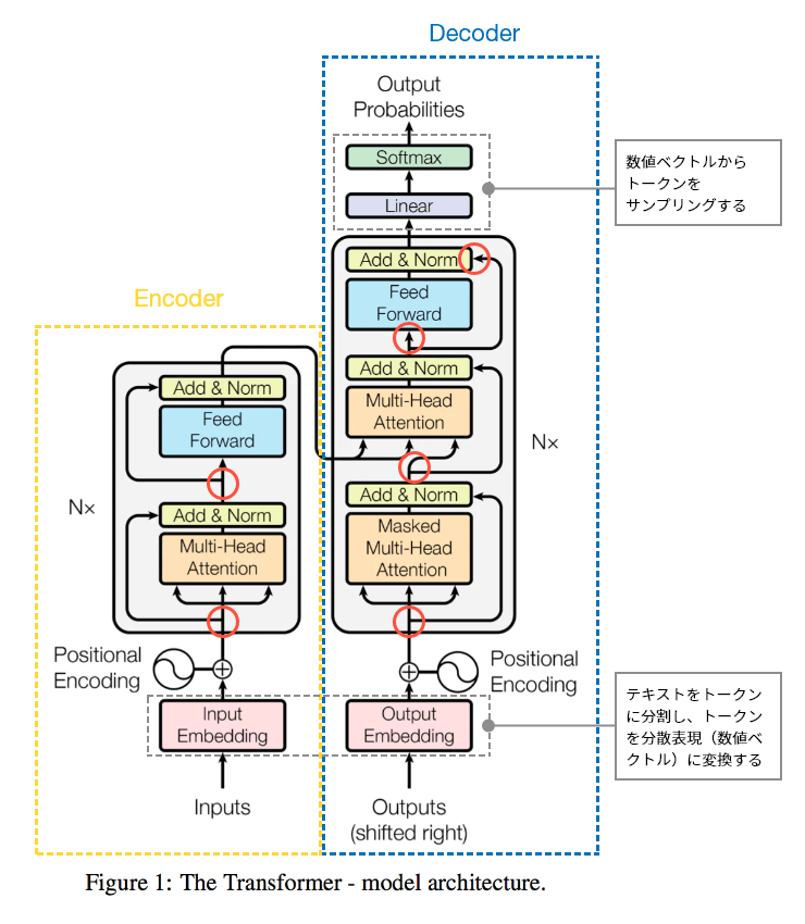 出典：Vaswani, A. et al.(2017) Attention Is All You Need<br>（赤丸、灰点線枠、吹き出し、黄点線枠とEncoder、青点線枠とDecoderを補足的に追加）<br><br>図6：Transformerのネットワーク構造<br>赤丸が分岐になっていて逆伝播で勾配を通過させている。ネットワークにトークナイザがあることで図4のようにテキストをembedding（数値ベクトル）に変換する。その結果、学習ではネットワークの重みだけでなくembeddingも最適化することができる。