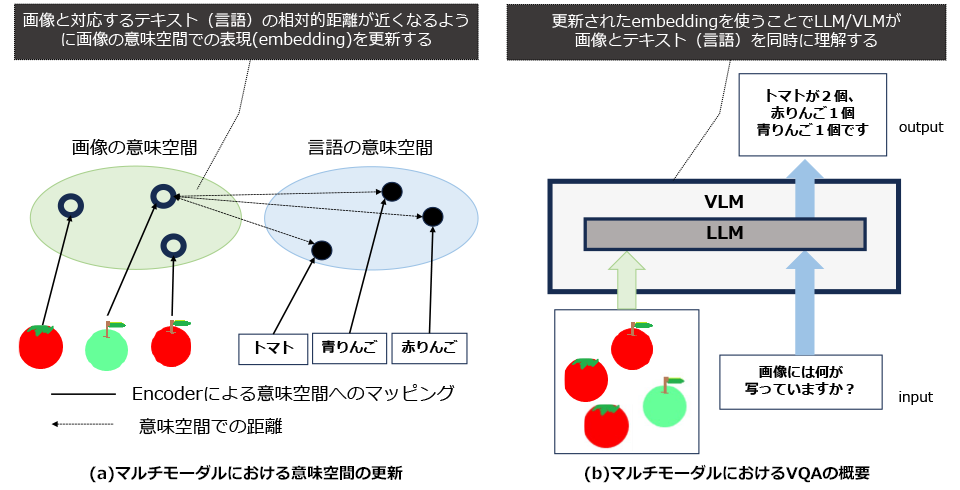 図2：fine tuningにより更新されたembeddingによりLLM/VLMが分散表現を獲得するイメージ