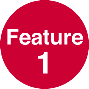 Feature 1