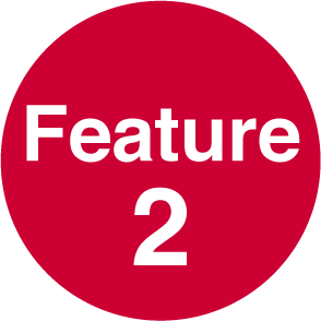 Feature 2