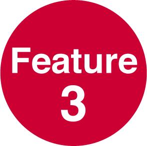 Feature 3